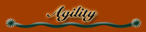 agility
