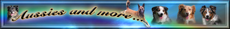http://www.aussies-and-more.de
