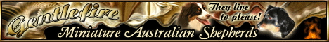 bannergentlefire