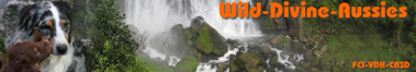 bannerwilddivine