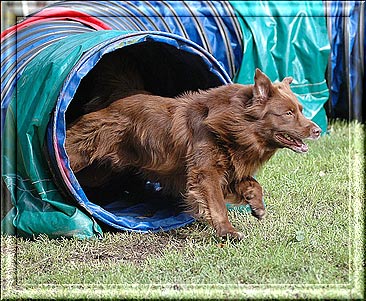 catotunnel