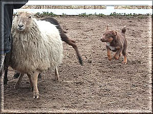 daa-aessae-hueten-5-10-1