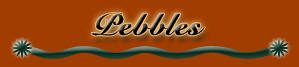 pebbles1
