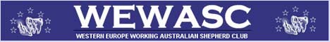 wewascbanner